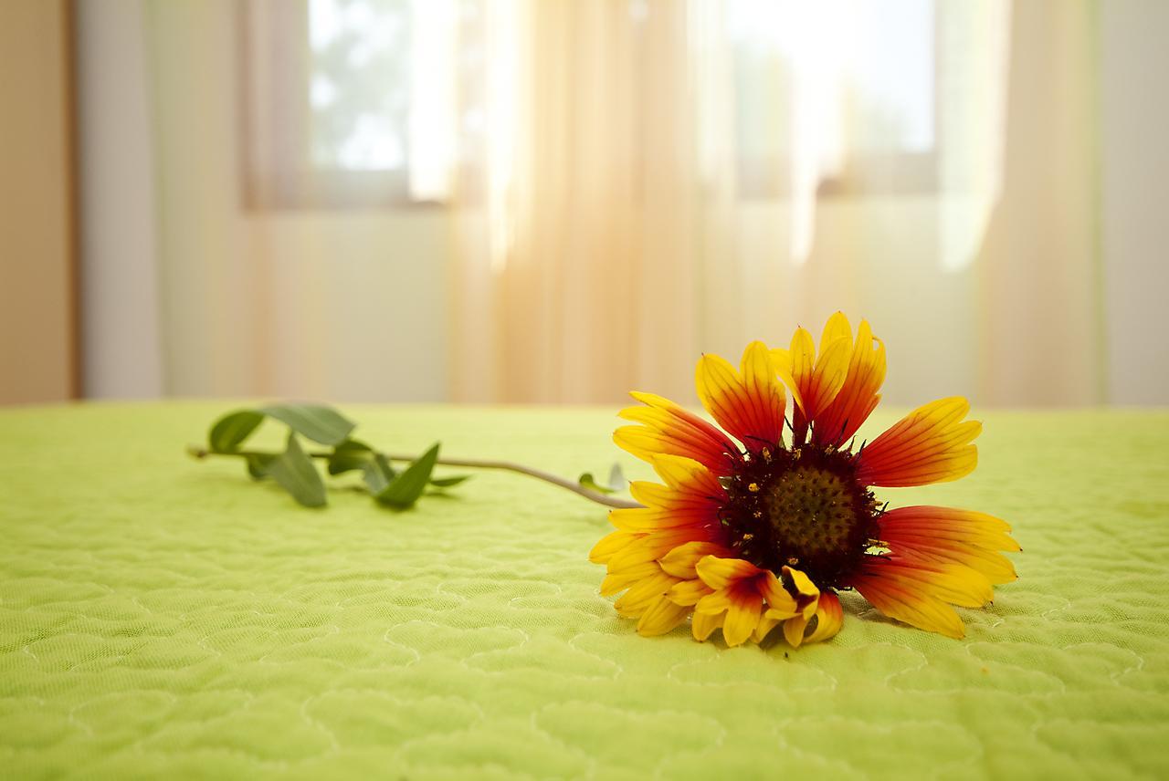 Apartments Valentina-B Nin Luaran gambar